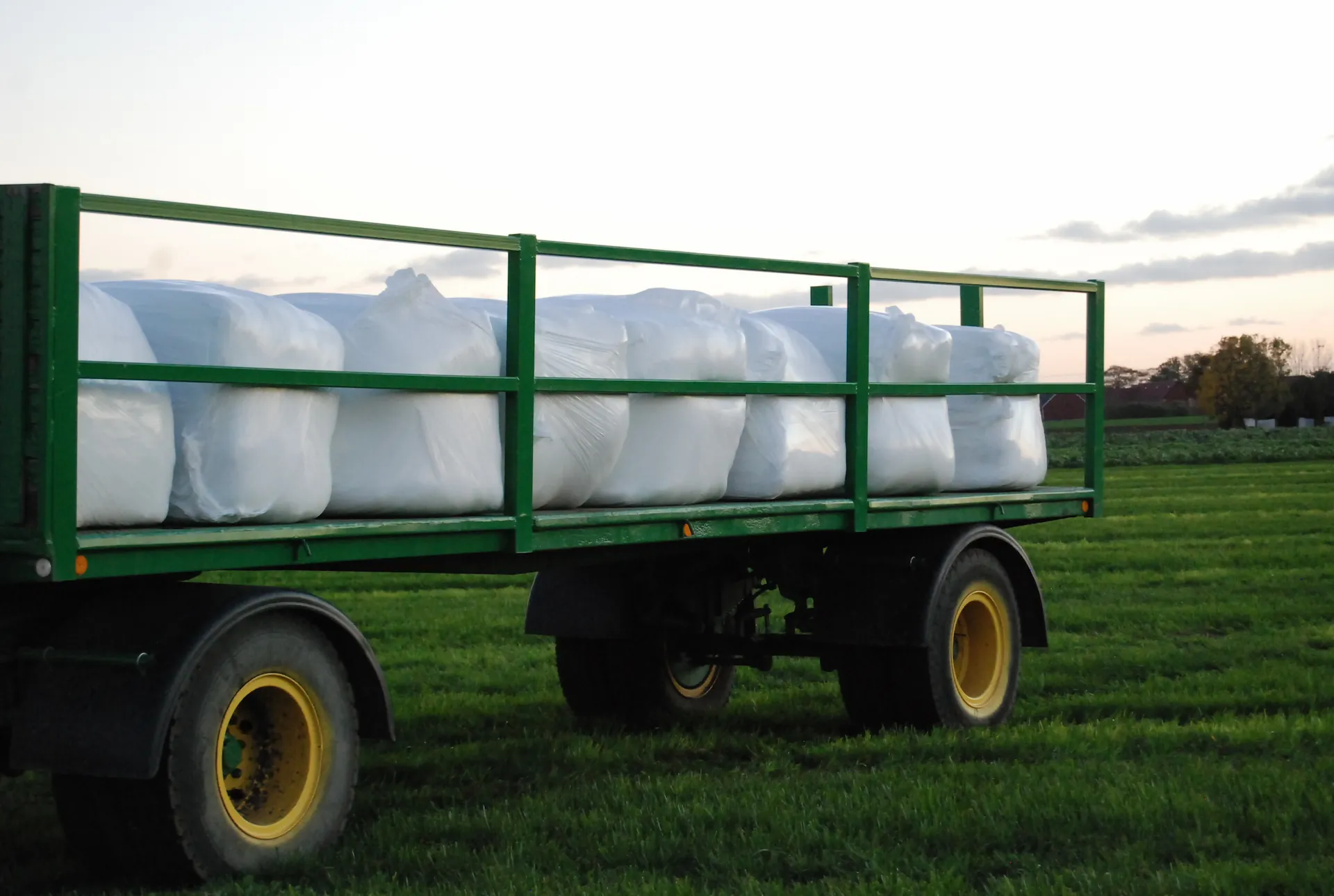 Hösilage fält i Svalöv